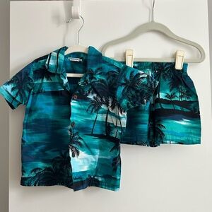 3T Hawaii Shirt and Shorts Set